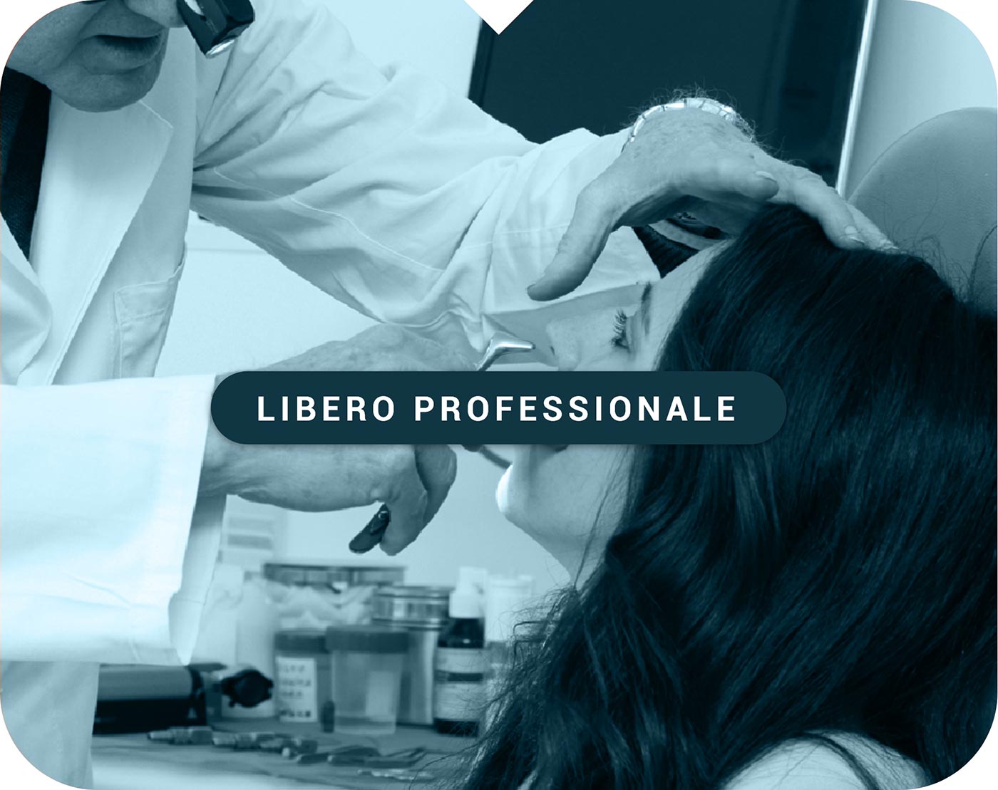 Libero professionale